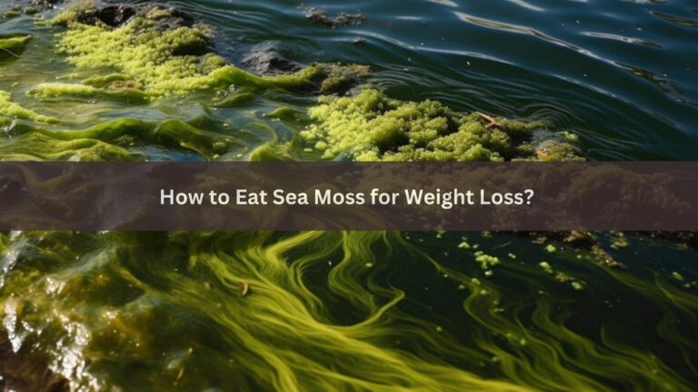 How to Eat Sea Moss for Weight Loss?
